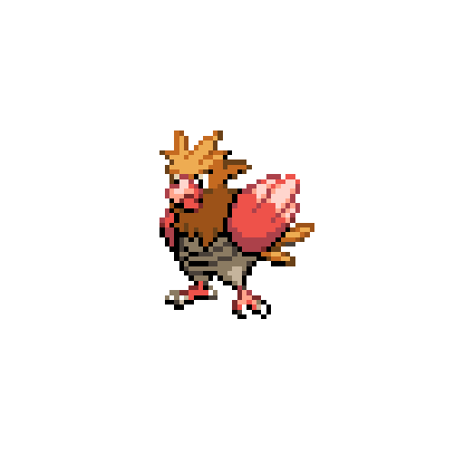 Spearow